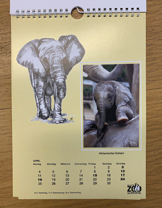 Neuer Zoo-Kalender